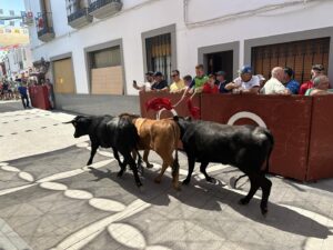 feria santa ana 2024 (8)